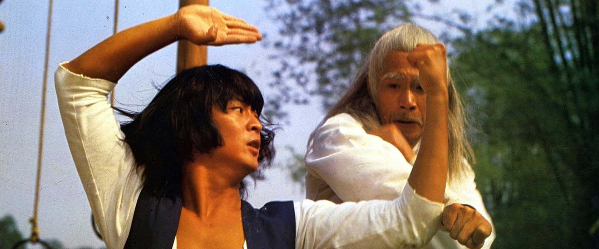 The Seven Commandments of Kung Fu background 2