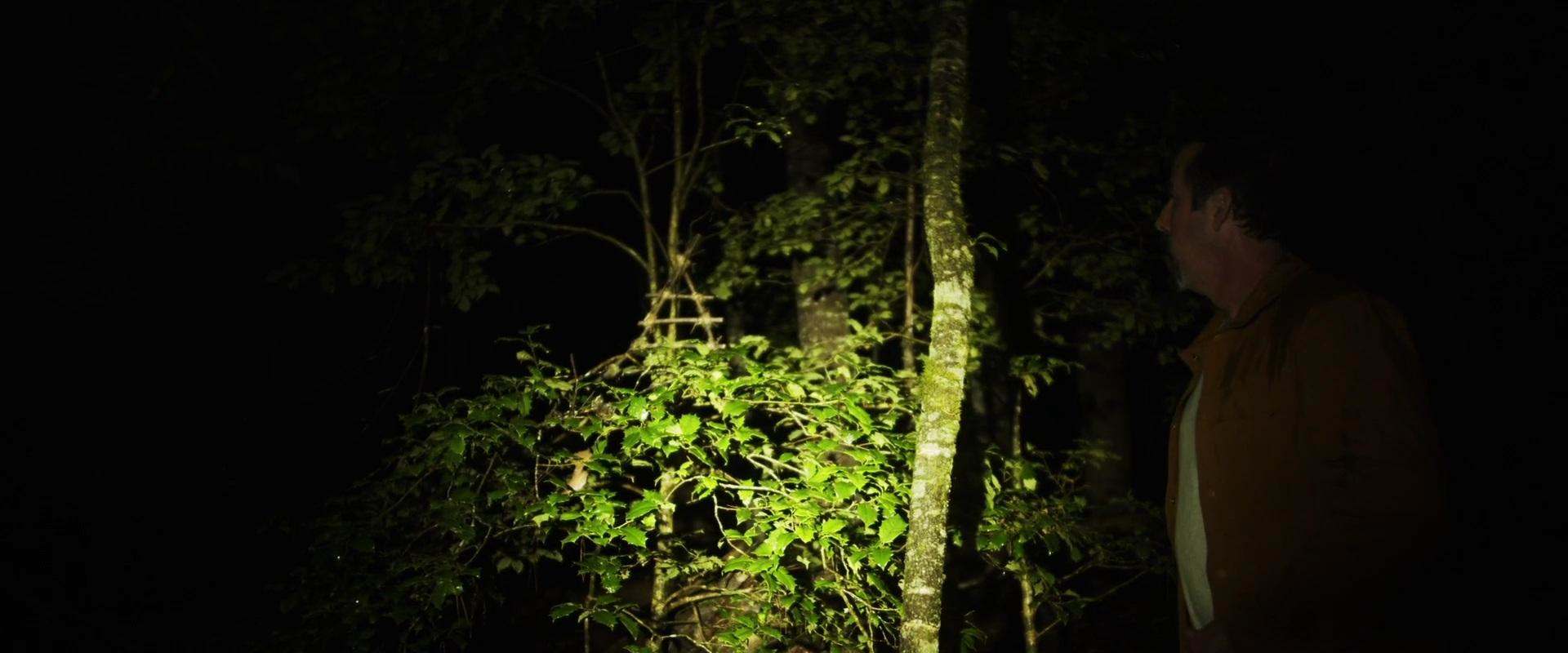 The Woodmen background 1