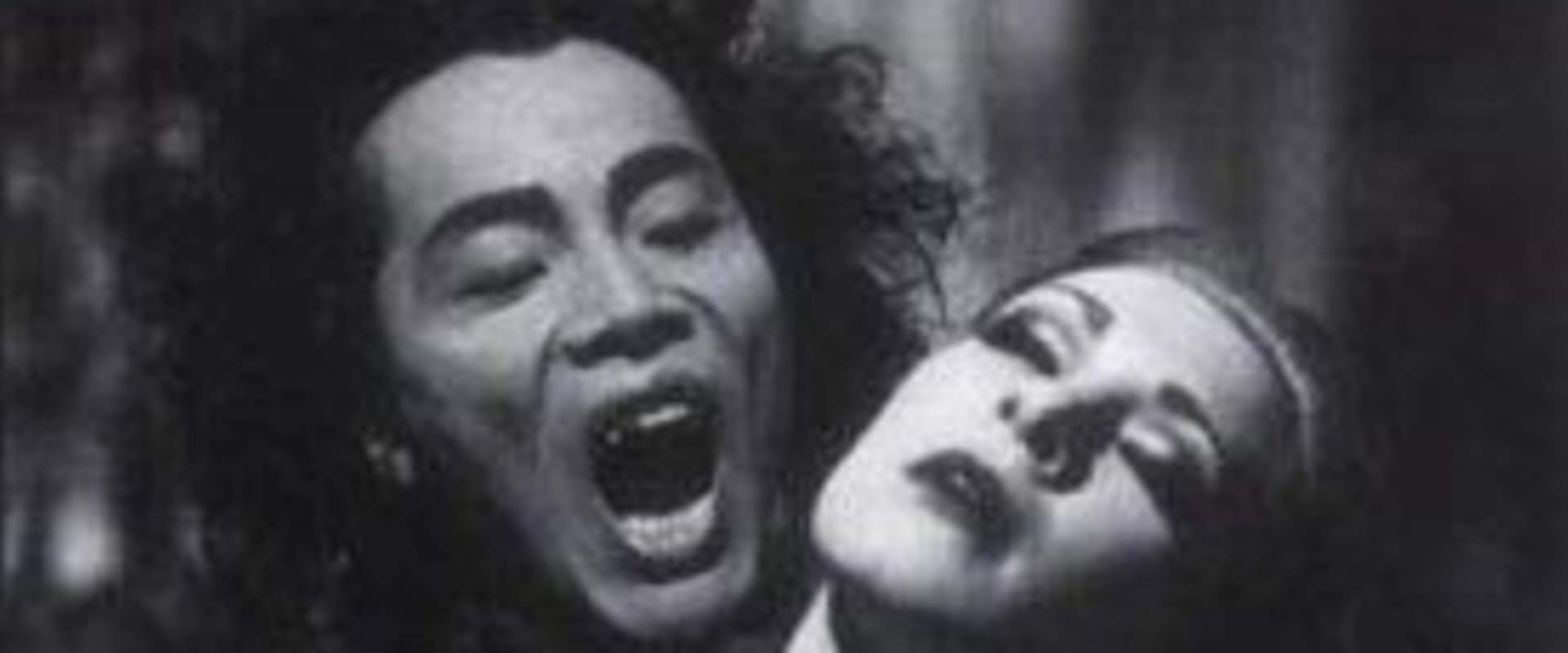Dracula: Pages from a Virgin's Diary background 1