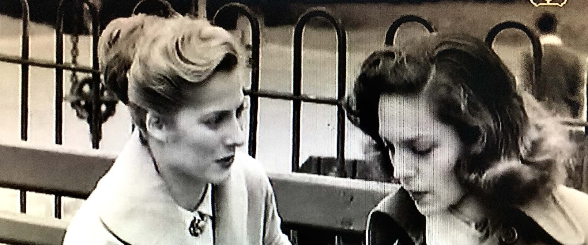 Crow Hollow background 1