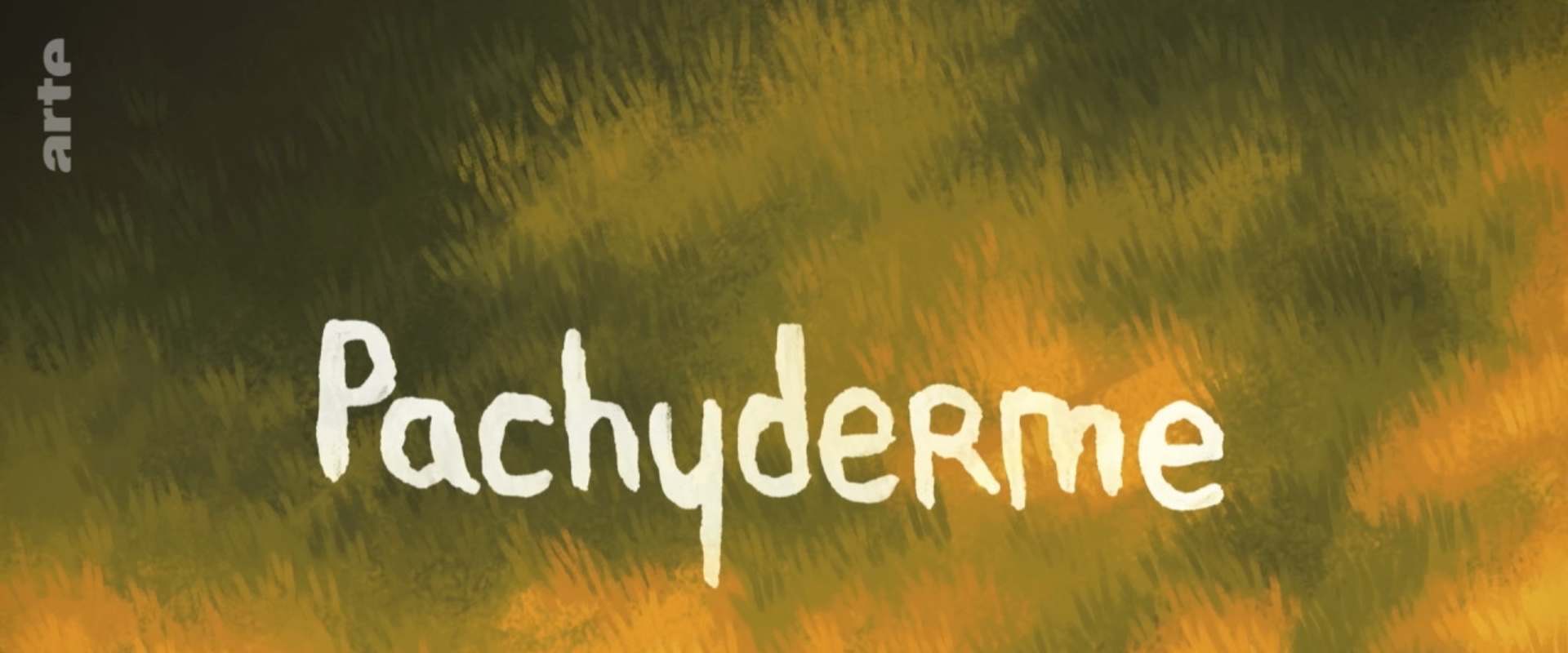 Pachyderm background 2