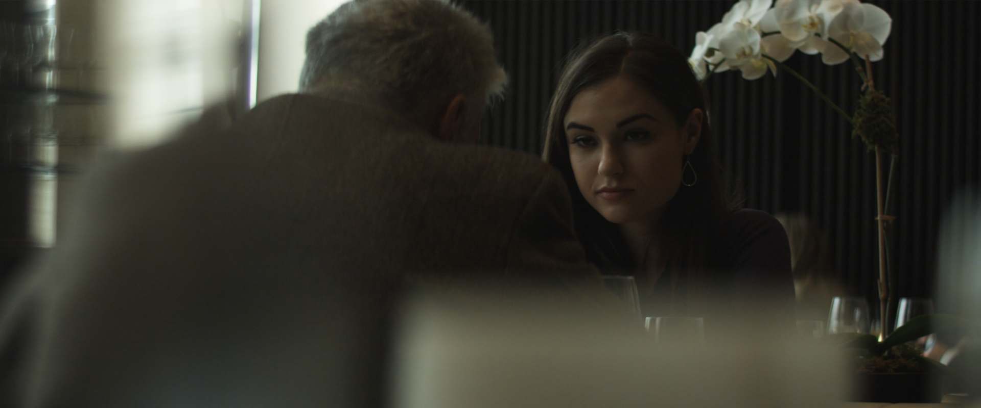 The Girlfriend Experience background 1