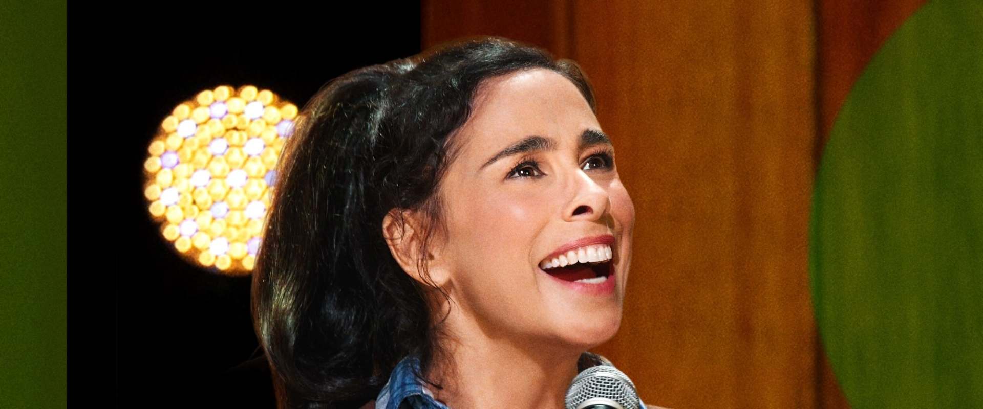 Sarah Silverman: PostMortem background 1