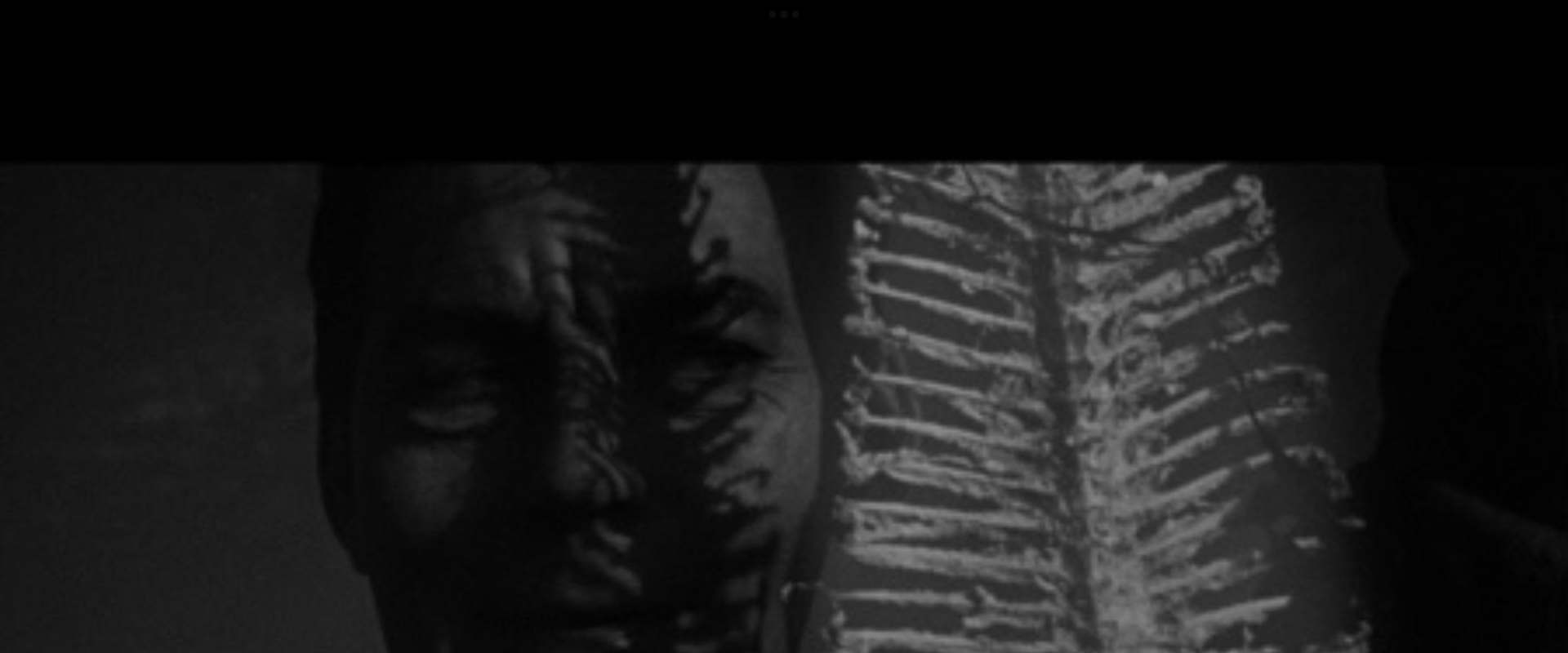 The Flesh Eaters background 2
