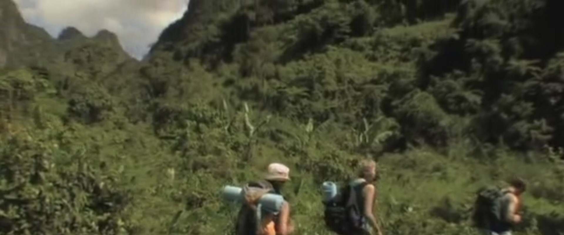 Welcome to the Jungle background 2