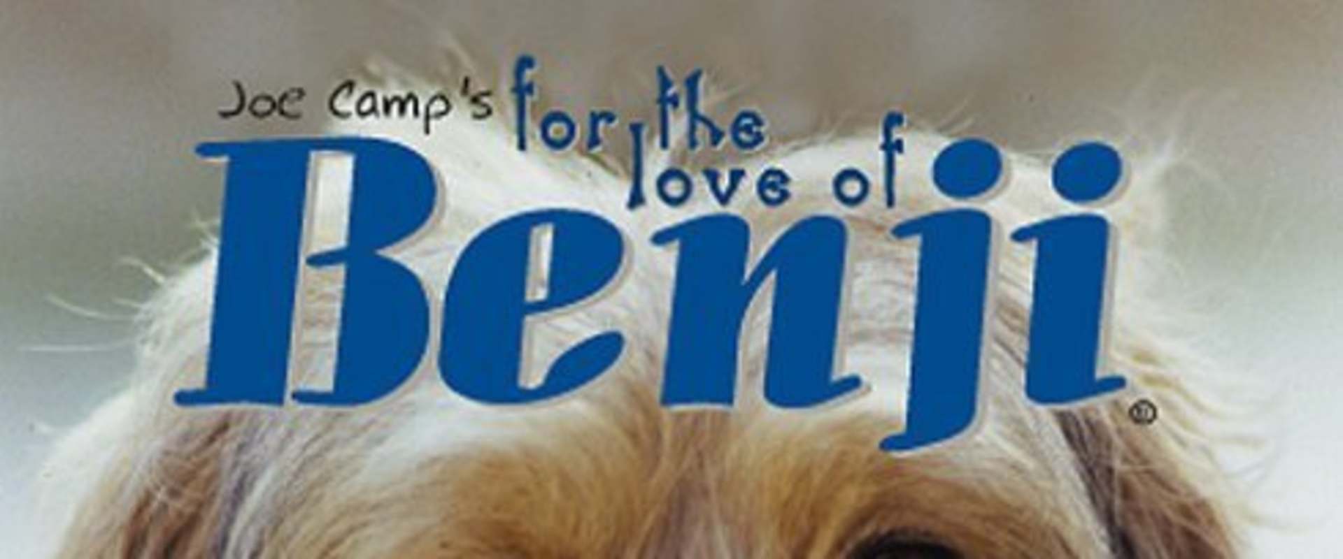 For the Love of Benji background 2