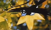Dot and the Kangaroo Movie Still 7