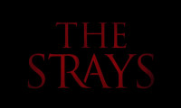 The Strays Movie Still 2