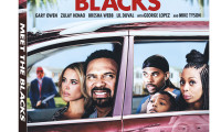 Meet the Blacks Movie Still 2