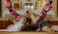 Puppy Star Christmas Movie Still 1