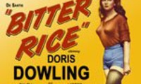 Bitter Rice Movie Still 1