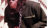 Conquest of the Planet of the Apes Movie Still 3