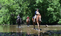 The King's Highway Movie Still 1