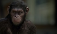 Rise of the Planet of the Apes Movie Still 8