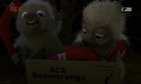Hammy's Boomerang Adventure Movie Still 7