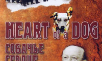 Heart of a Dog Movie Still 4