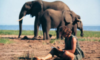 A Life Among Elephants Movie Still 3