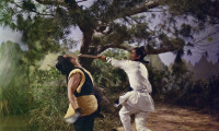 Return of the One-Armed Swordsman Movie Still 3