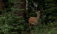 The Deer Hunter Movie Still 4