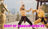 The Best of Shaolin Kung Fu Movie Still 3