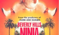 Beverly Hills Ninja Movie Still 7