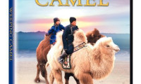 The Story of the Weeping Camel Movie Still 4