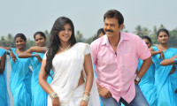 Seethamma Vakitlo Sirimalle Chettu Movie Still 5