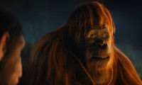 Kingdom of the Planet of the Apes Movie Still 1