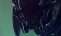Aliens vs. Predator: Requiem Movie Still 7