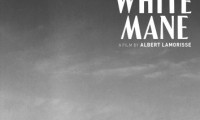White Mane Movie Still 6
