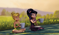 Tinker Bell and the Great Fairy Rescue Movie Still 6