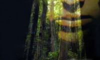 The Emerald Forest Movie Still 5