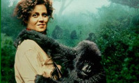 Gorillas in the Mist Movie Still 8