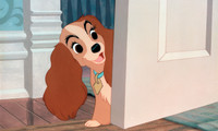 Lady and the Tramp Movie Still 6