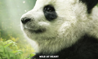 Pandas Movie Still 2