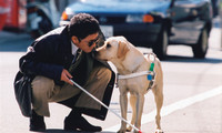 Quill:  The Life of a Guide Dog Movie Still 2