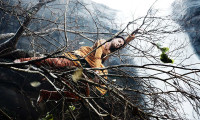 Raavanan Movie Still 2