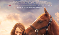 Dream Horse Movie Still 7