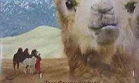 The Story of the Weeping Camel Movie Still 2