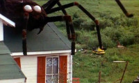 The Giant Spider Invasion Movie Still 6