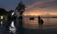 Plantados Movie Still 6