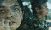 Cigüeñas Movie Still 5