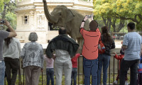 Zoofobia Movie Still 1