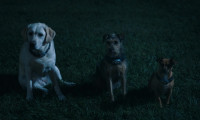 Space Pups Movie Still 6