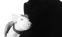 Babe: Pig in the City Movie Still 8