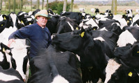 The Moo Man Movie Still 1