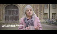 Brexit Through the Non-political Glass Movie Still 3