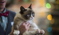 Grumpy Cat's Worst Christmas Ever Movie Still 2