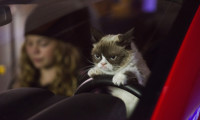 Grumpy Cat's Worst Christmas Ever Movie Still 7