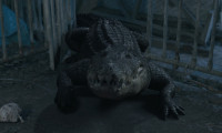 Crocodile Vengeance Movie Still 2
